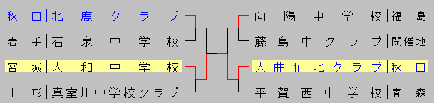 2013touhokusinzin