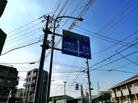 ʬ´ôÅÀ_20200617_145657