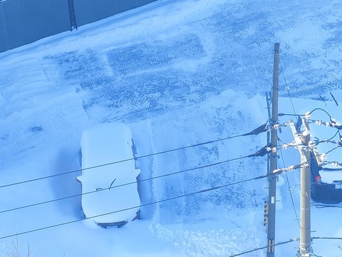 雪に埋もれる車_20230117_1000