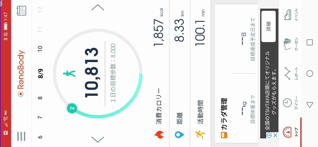 Mobile Thinkpad Fan 270c