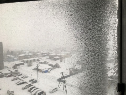 自宅窓(網戸)の雪_20230118_1542