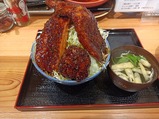 まがりそーす