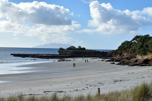 tawharanui beach