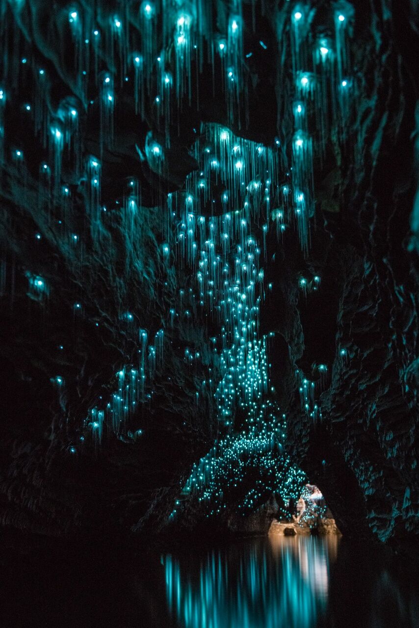 Waitomo Cave 4