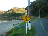 STEWART ISLAND 3-14