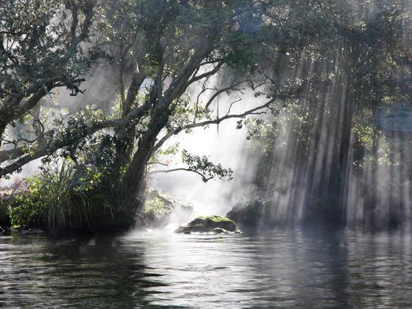 manupirua-hot-pool-mokoia-magic