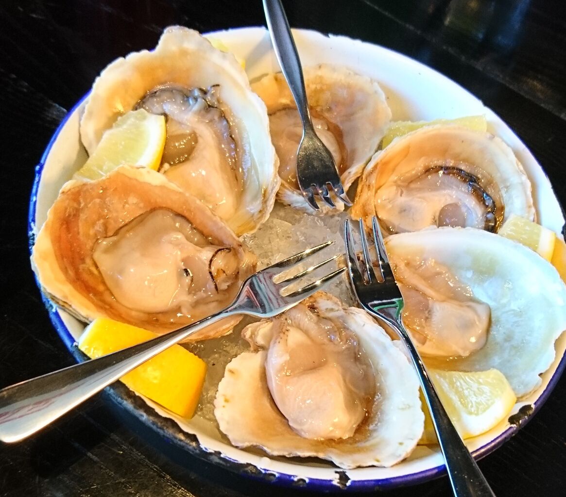 oyster3