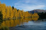 wanaka4