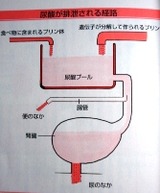 3f2d22ec.jpg