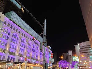 DSC_0481