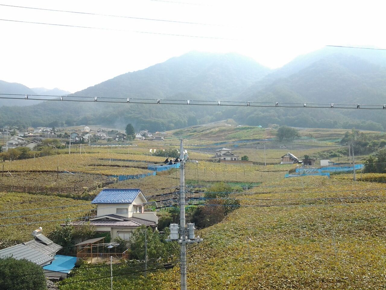 勝沼ぶどう祭り ２０１４ 山梨県甲州市勝沼町 美酒佳肴 びしゅかこう 酒と美食にうつつをぬかす親爺の覚書き