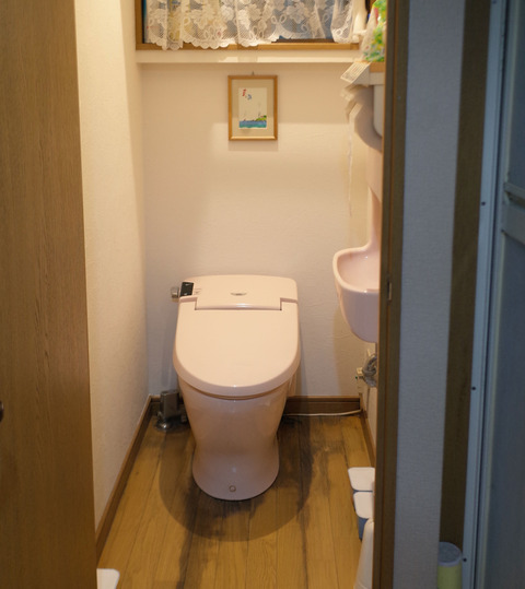 R0080167 のコピー