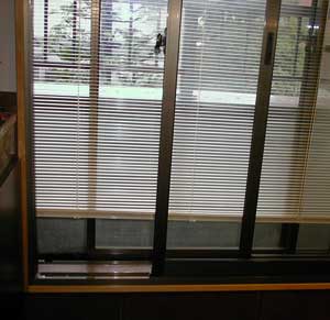 ed99516a.jpg