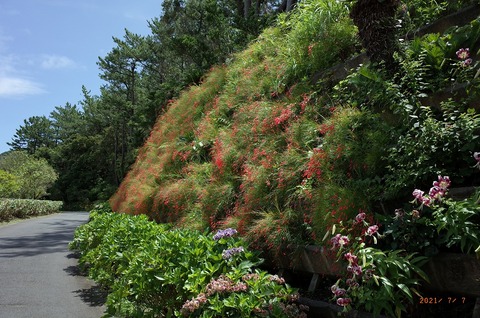R0081466