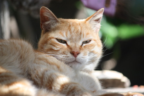 �������ǭ�����