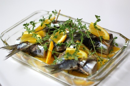 ���路�Υѥ�ʴ�Ƥ�