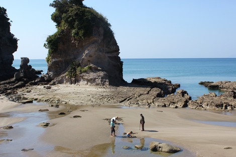 海岸