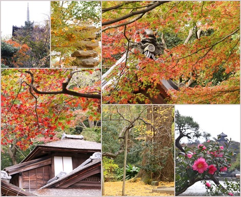 三渓園 11月