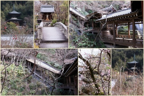永観堂