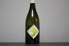 Pascal Jolivet 2008, Loire