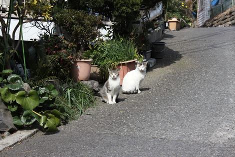 ºäÆ»¤Î»Ò¤¿¤Á