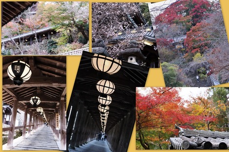 長谷寺