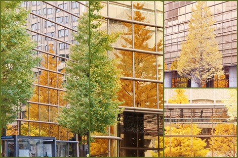 Reflection