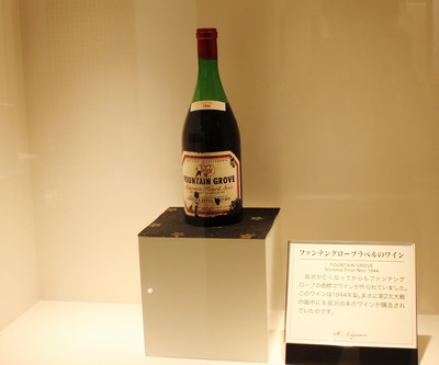 ファンテングローヴ