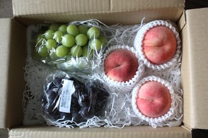 いただき物