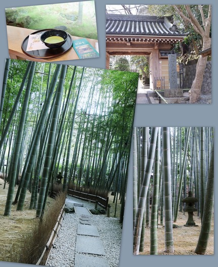 報国寺