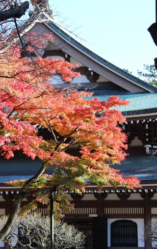 円覚寺