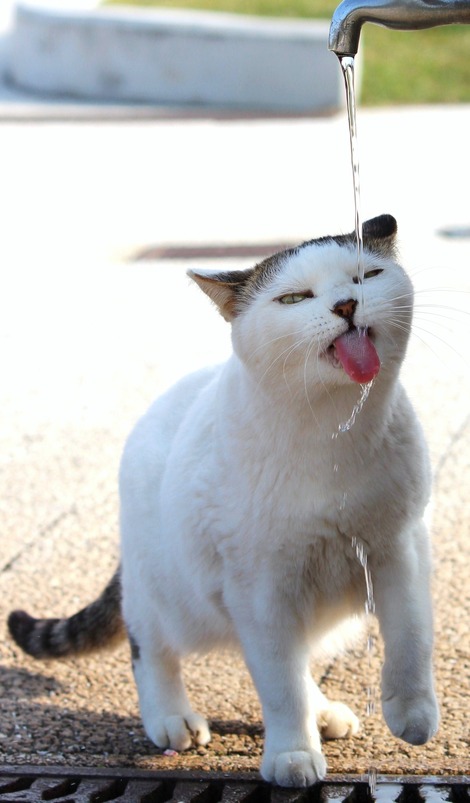 ���塢��̣������