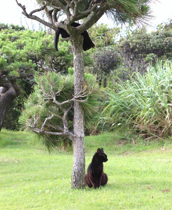 ���ͥ������ƻ�