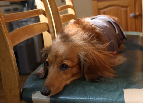 ���ä����-2