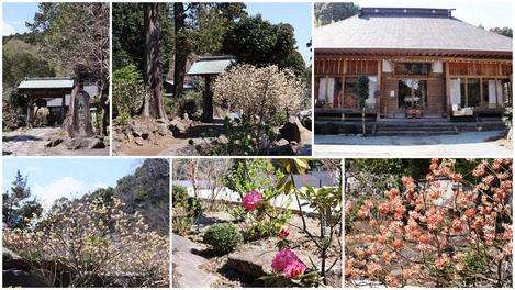 長興山紹太寺
