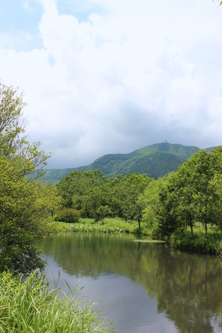 湿生花園-3
