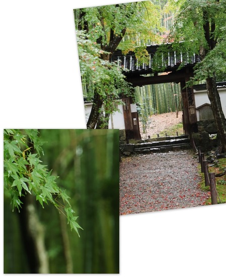 地蔵院