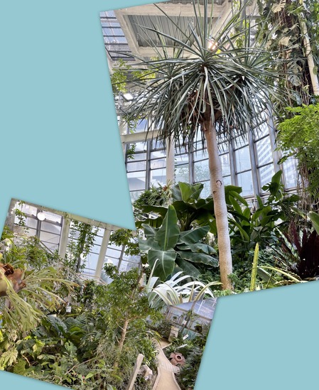 渋谷ふれあい植物センター