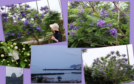 公園