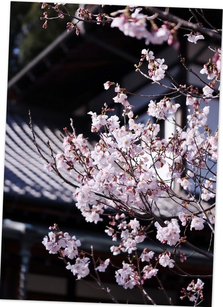 �����κ�