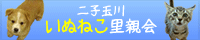 いぬねこ里親会