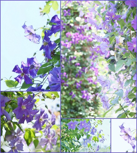 ����ޥ���