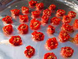 Semi-Dryed Tomatos-2