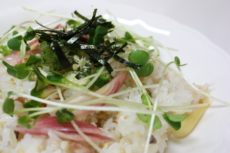 �ߥ祦���Ȱ��δ�ʪ�Τ�����