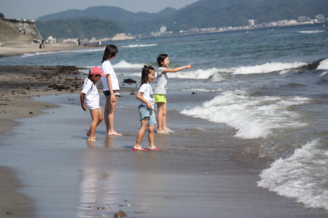 �Ҷ�����