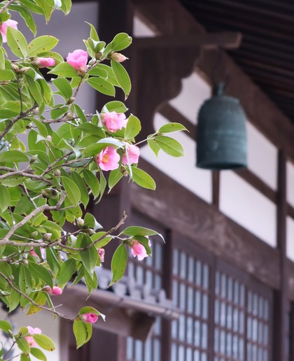 浄妙寺