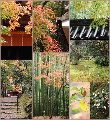 地蔵院