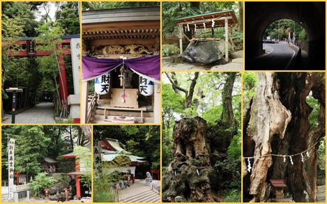 来宮神社