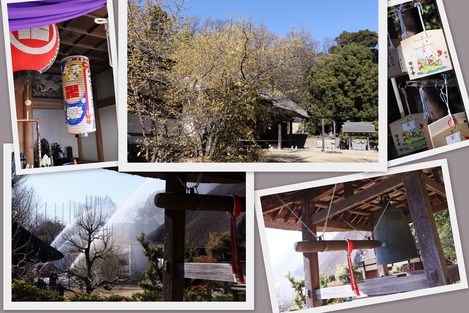 西方寺