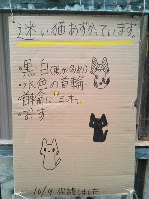 �����礵����